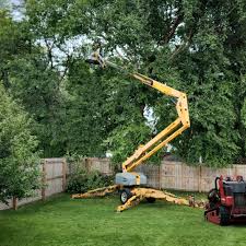 Best Lawn Irrigation Installation and Maintenance  in Lockport, NY