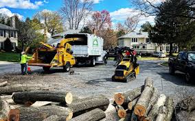 Best Lawn Pest Prevention  in Lockport, NY