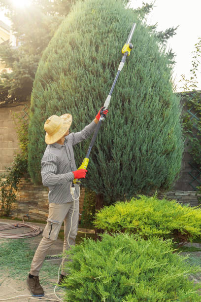 Lawn Watering Services in Lockport, NY
